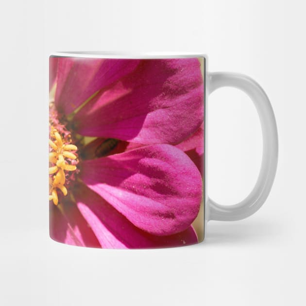 Pink Zinnia by Amalus-files